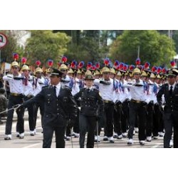 Sete de Setembro sem desfile, mas com patriotismo